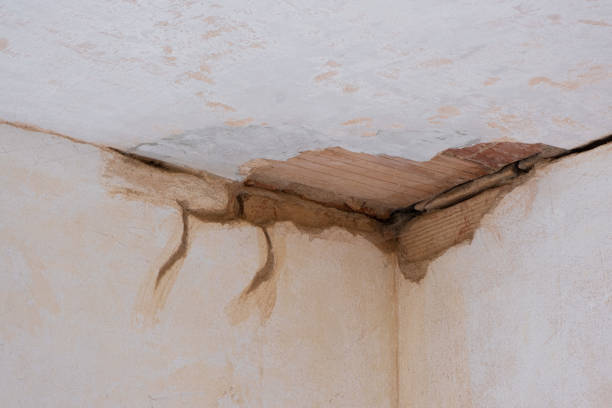 Best Residential water damage restoration  in Canton, OH