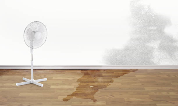 Best Sewage cleanup and water damage restoration  in Canton, OH