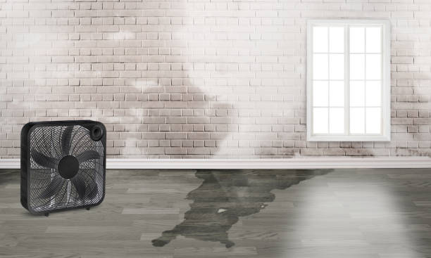 Best Water damage contractors near me  in Canton, OH