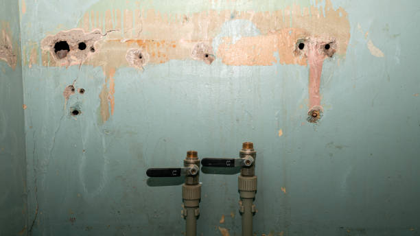 Best Flood restoration services  in Canton, OH