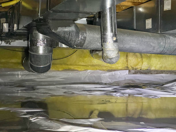 Best Local water damage restoration  in Canton, OH