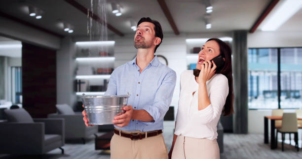 Best Flood damage cleanup  in Canton, OH